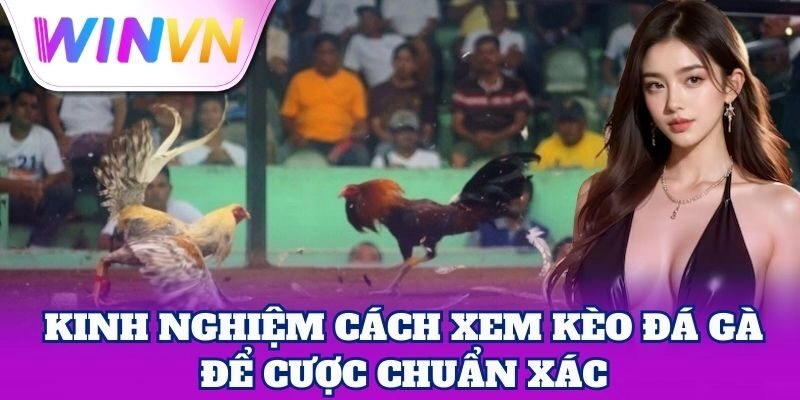 Cách Xem Kèo Đá Gà – Mẹo Nhận Biết Kèo Thơm Chuẩn Đét 3 Kinh nghiệm Cách Xem Kèo Đá Gà để cược chuẩn xác